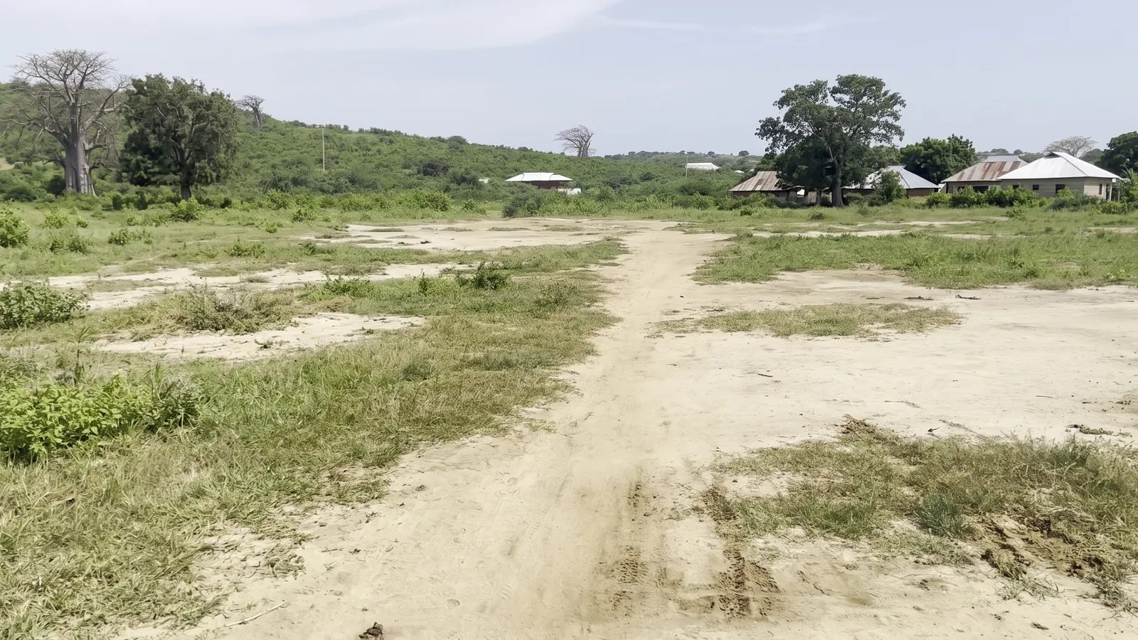 Njia ya mchanga mweupe ikipita kwenye viwanja wazi na uoto wa chini wa pwani katika Mambrui 234 karibu na Sabaki